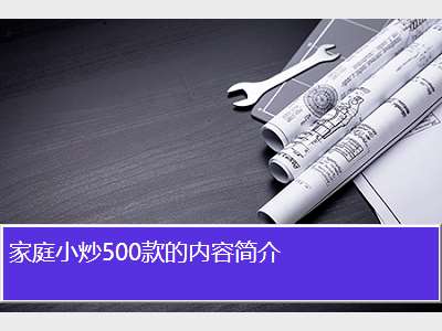 家庭小炒500款的内容简介