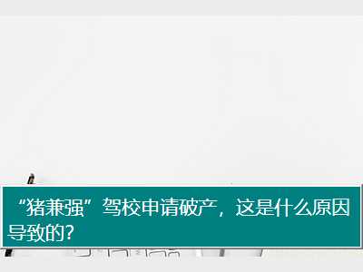 “猪兼强”驾校申请破产，这是什么原因导致的？