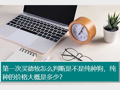 第一次买德牧怎么判断是不是纯种狗，纯种的价格大概是多少？